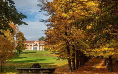 Meraviglie Reali! Un percorso di immagini