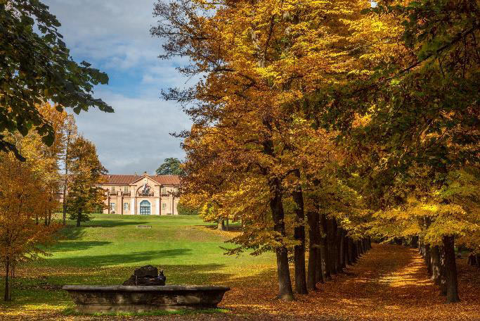 Meraviglie Reali - Un percorso di immagini - Cartella stampa