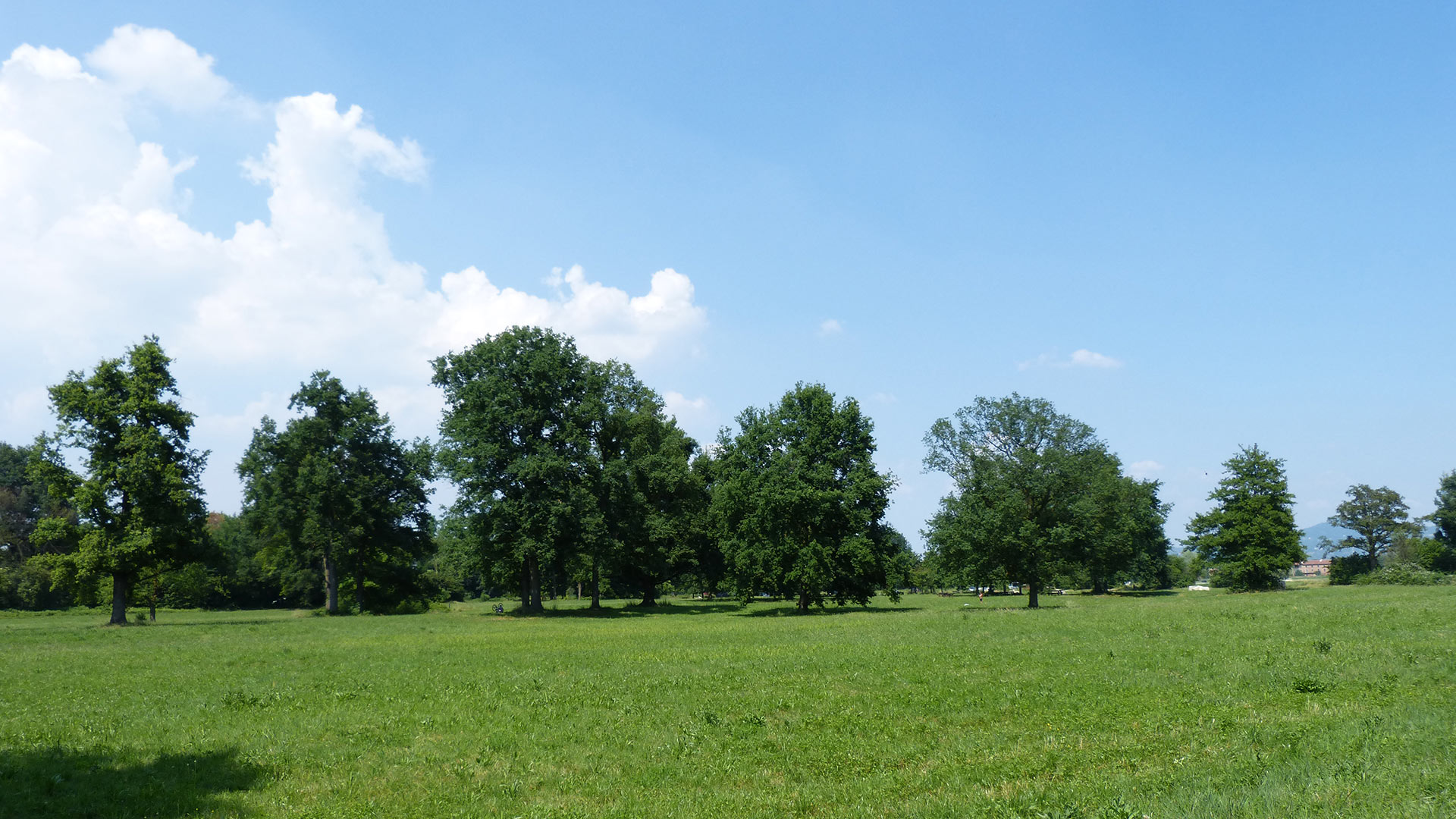 Parco naturale di Stupinigi