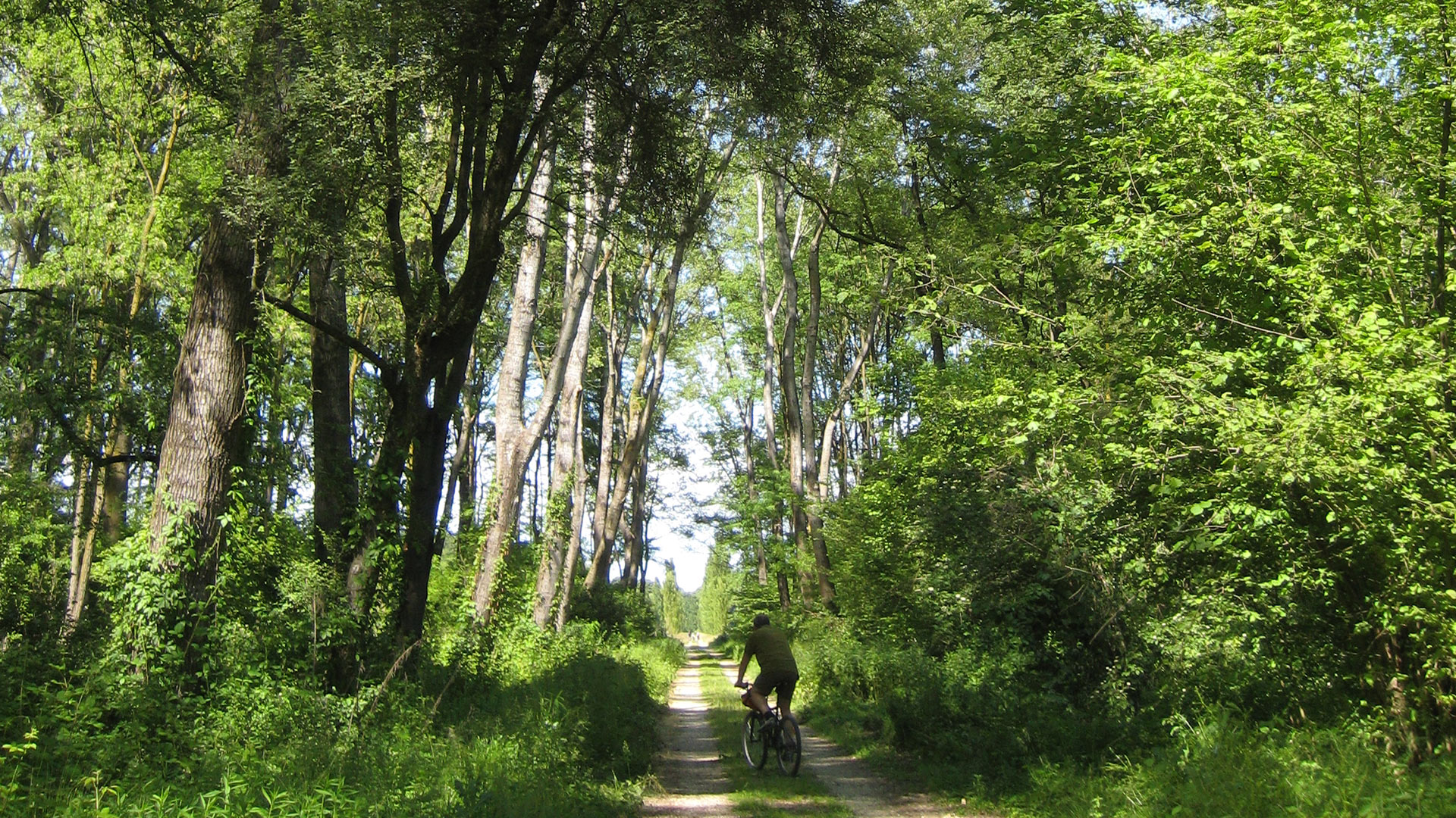 Parco naturale di stupinigi