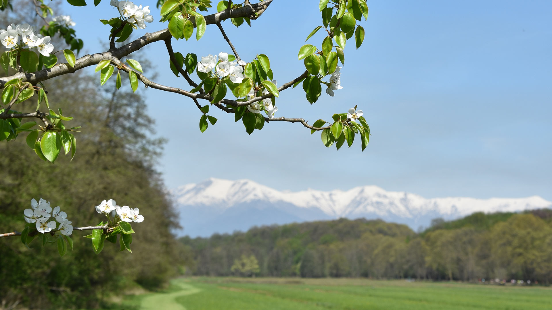 Parco naturale la Mandria