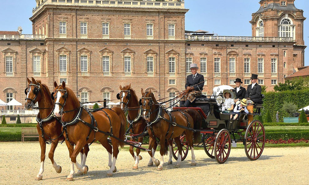 IX Concorso Internazionale di Attacchi di Tradizione